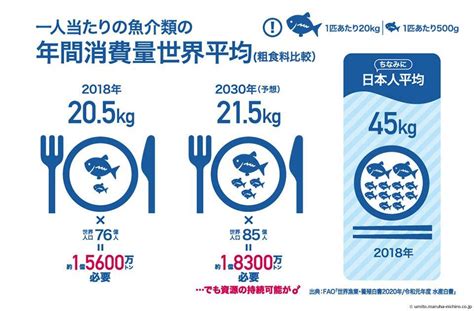 魚量|日本人1人当たりの年間魚介類消費量が22kgで過去最。